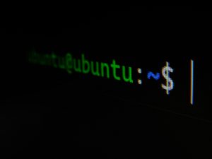 How to Use the grep Command